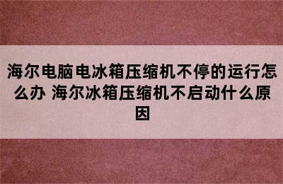 海尔电脑电冰箱压缩机不停的运行怎么办 海尔冰箱压缩机不启动什么原因